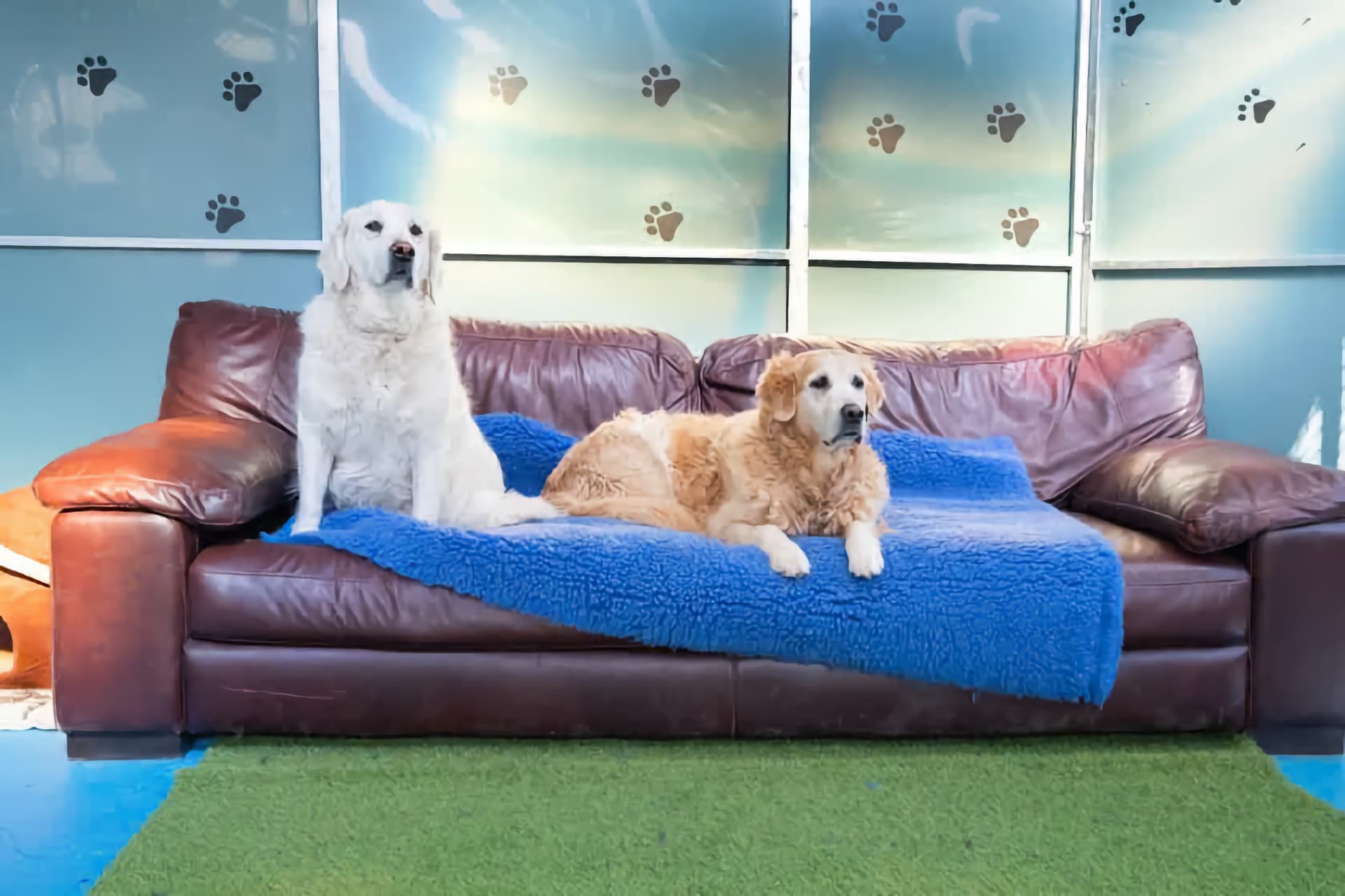 Privacy Policy image